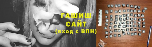 индика Новозыбков