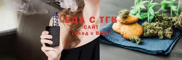 индика Новозыбков
