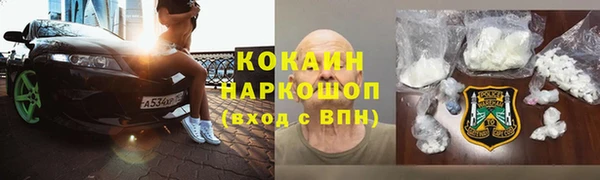 индика Новозыбков