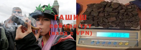 индика Новозыбков