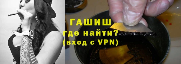 индика Новозыбков