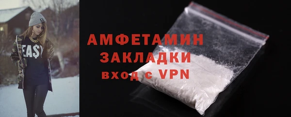 индика Новозыбков