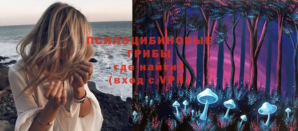 индика Новозыбков