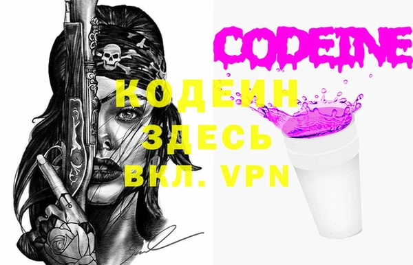 индика Новозыбков