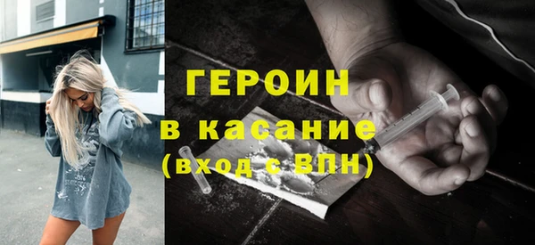 индика Новозыбков