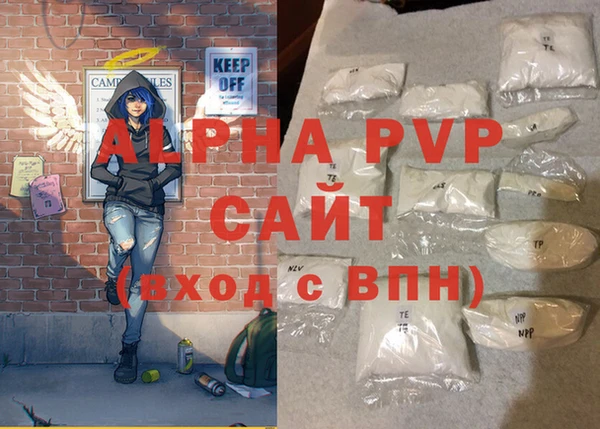 индика Новозыбков