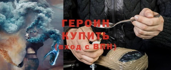 индика Новозыбков